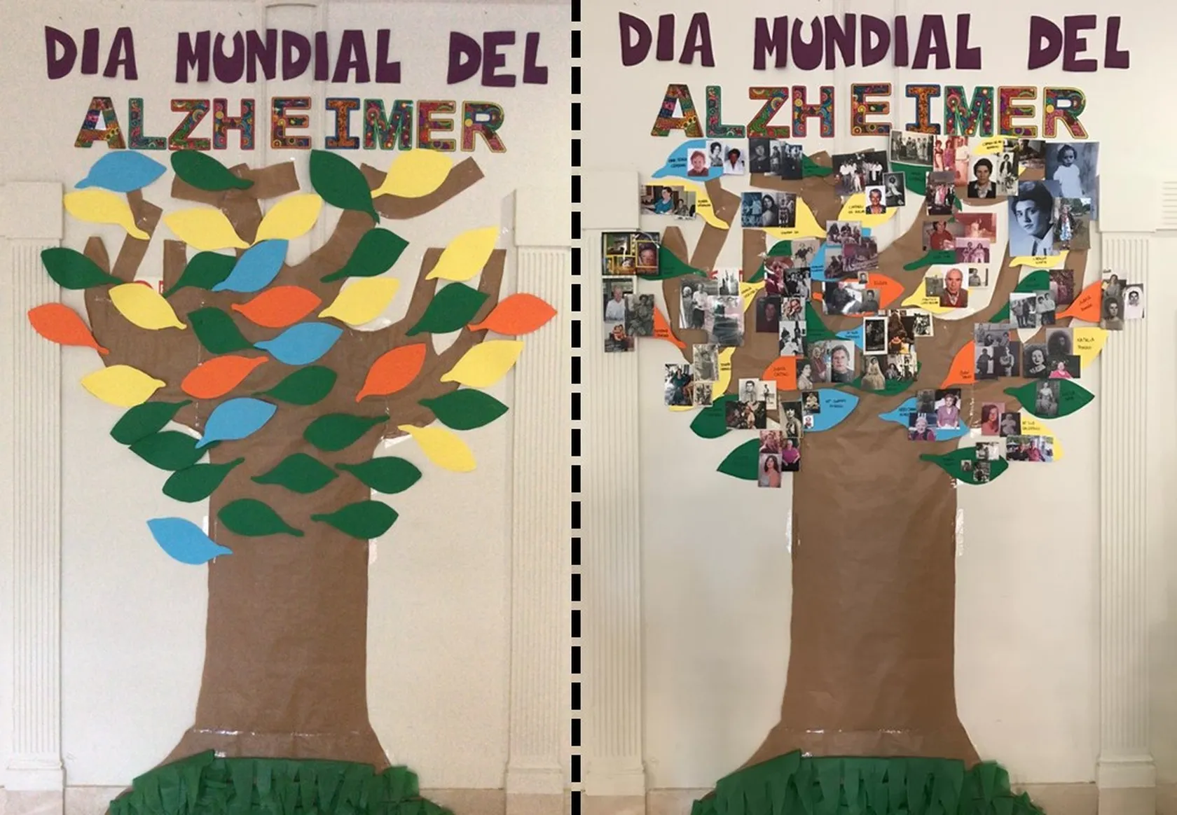 Presentacion1.jpg