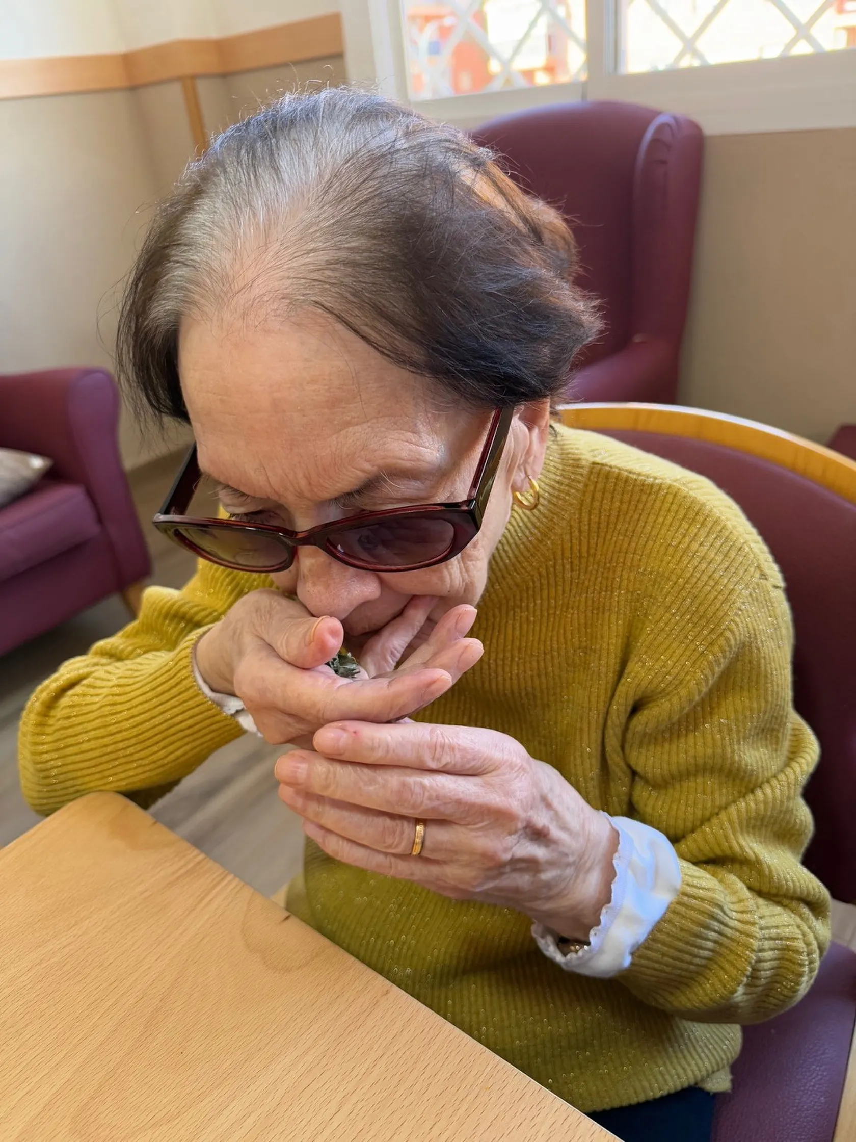 8c0902c6-d1fb-47e8-8826-49ed93e2c3d4.jpg