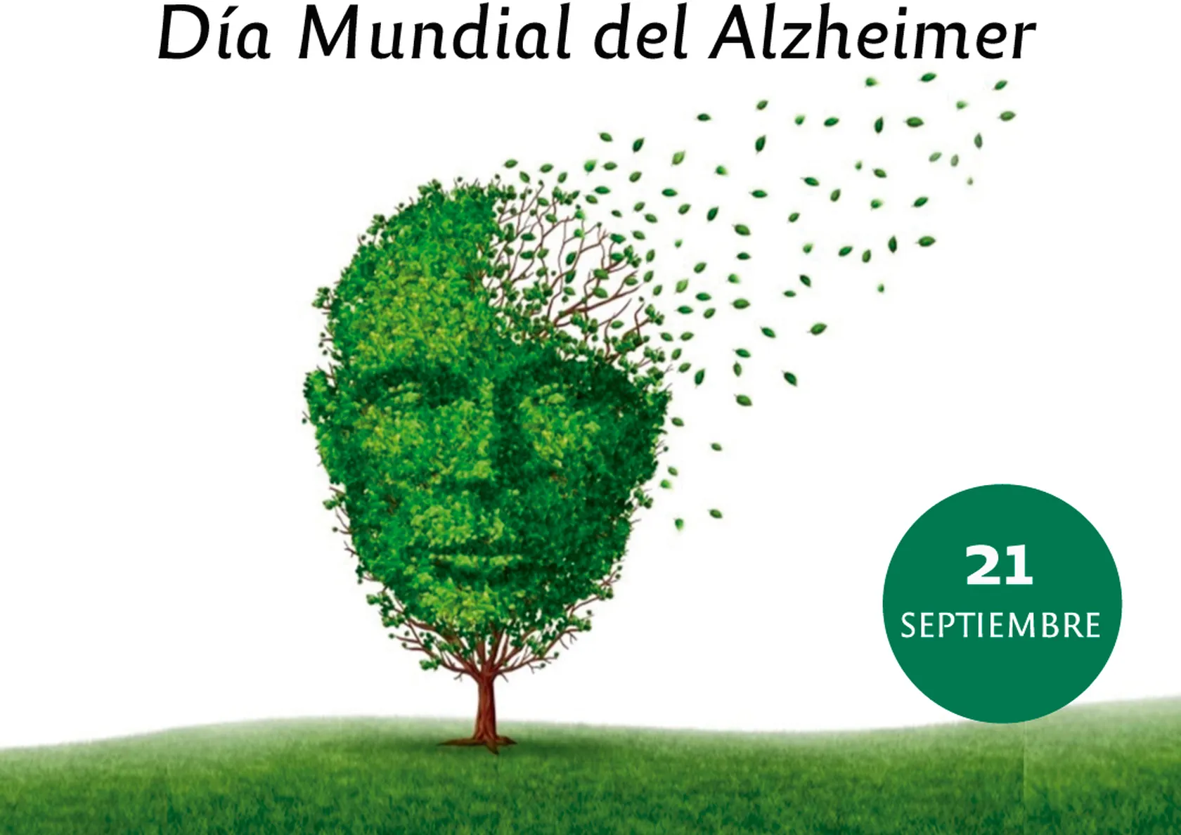 portadaalzheimersisisisiis.jpg
