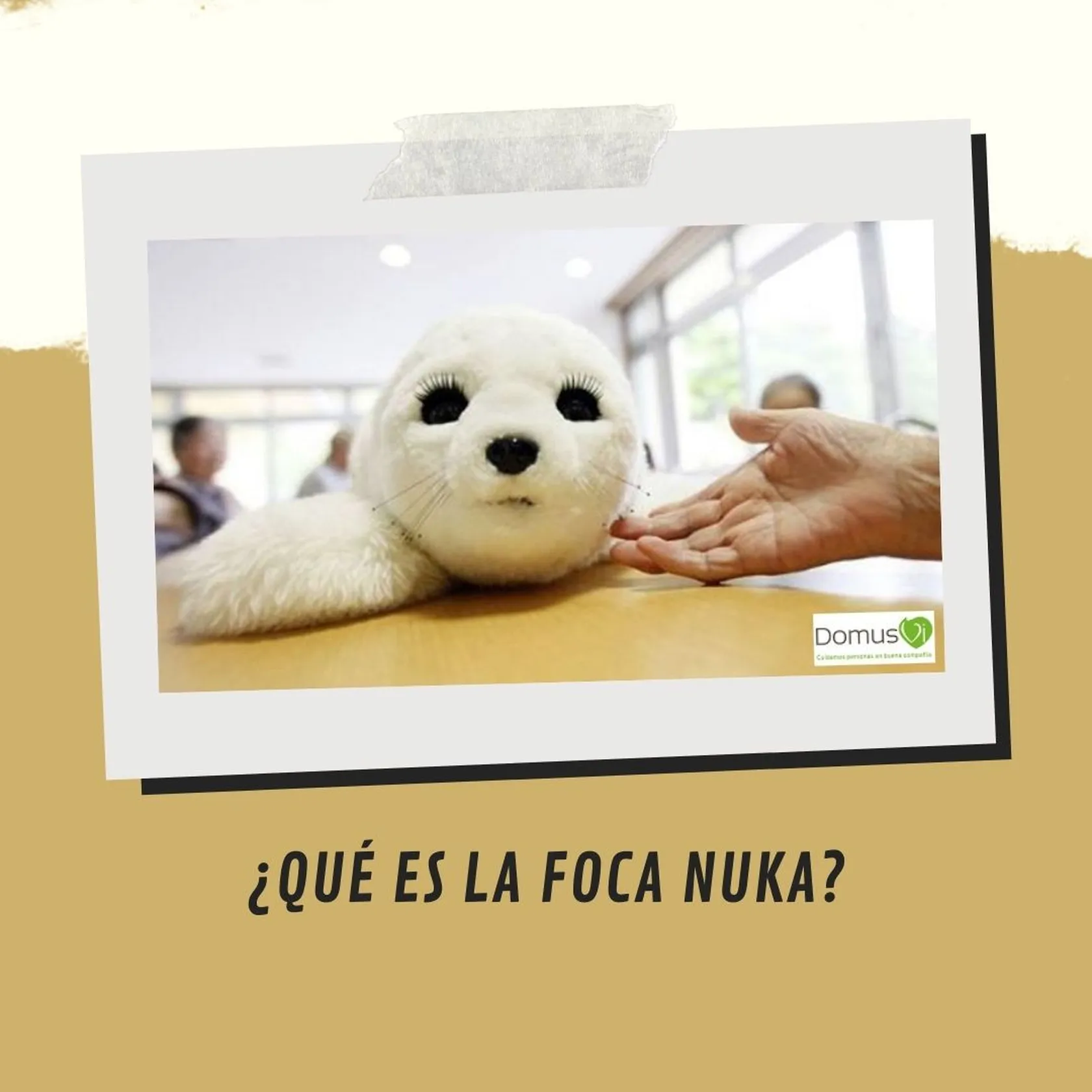 ¿qUE-ES-LA-FOCA-NUKA_.jpg