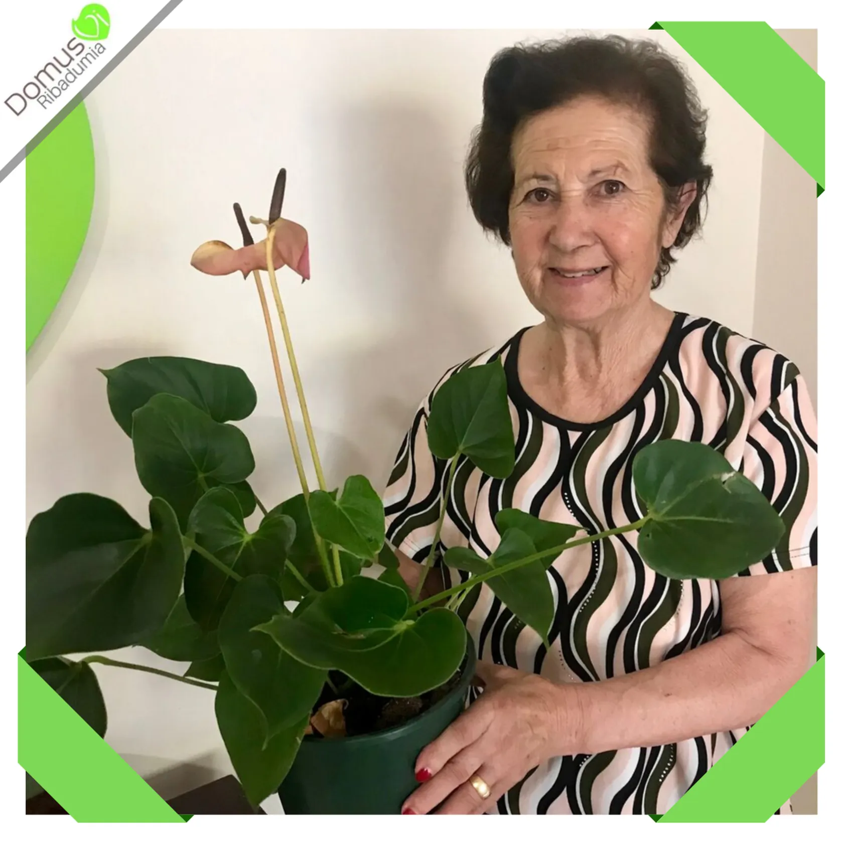 Cuidar-de-las-plantas-no-tiene-edad-septiembre-2019-a.png