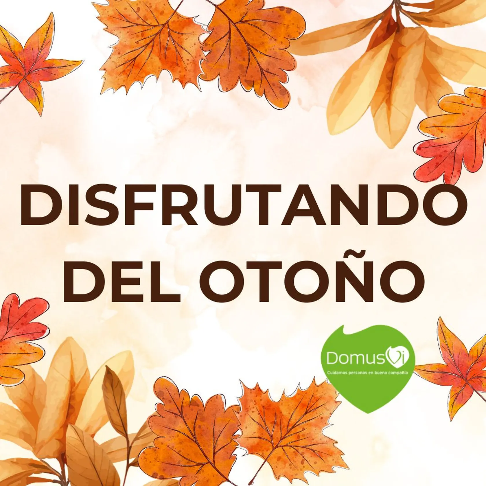 7d1db26d-014d-46d8-9fe6-fa7a5d07d079.jpg