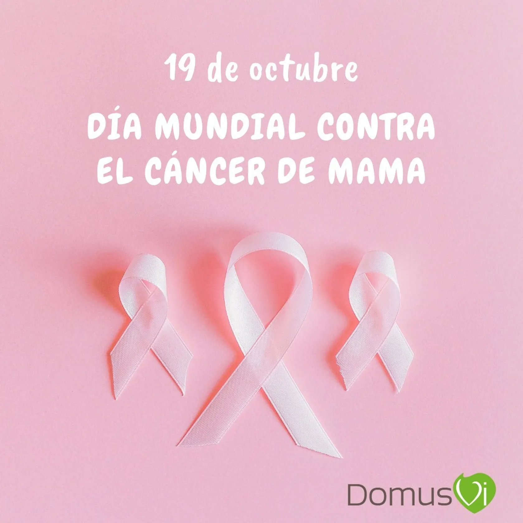 ad92ce41-13f5-4a84-9231-31e3388ce14a.jpg