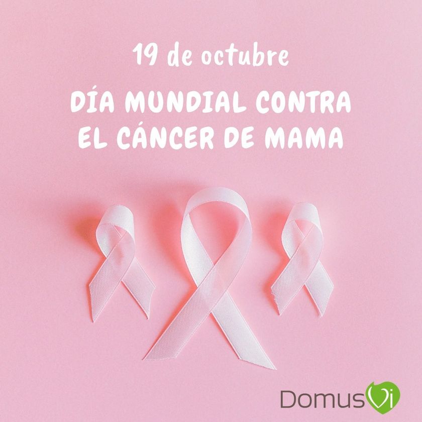 ad92ce41-13f5-4a84-9231-31e3388ce14a.jpg
