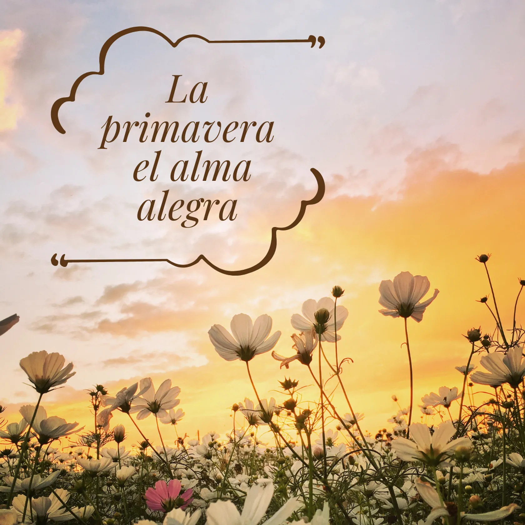 39AE2755-09A2-4123-809F-D87A4BA222DC.png
