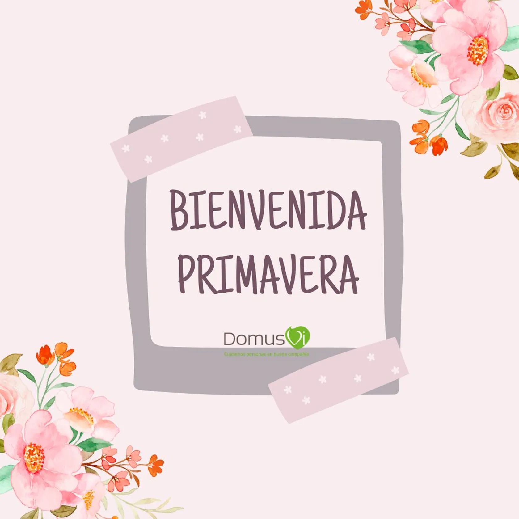 BIENVENIDA-PRIMAVERA.jpg