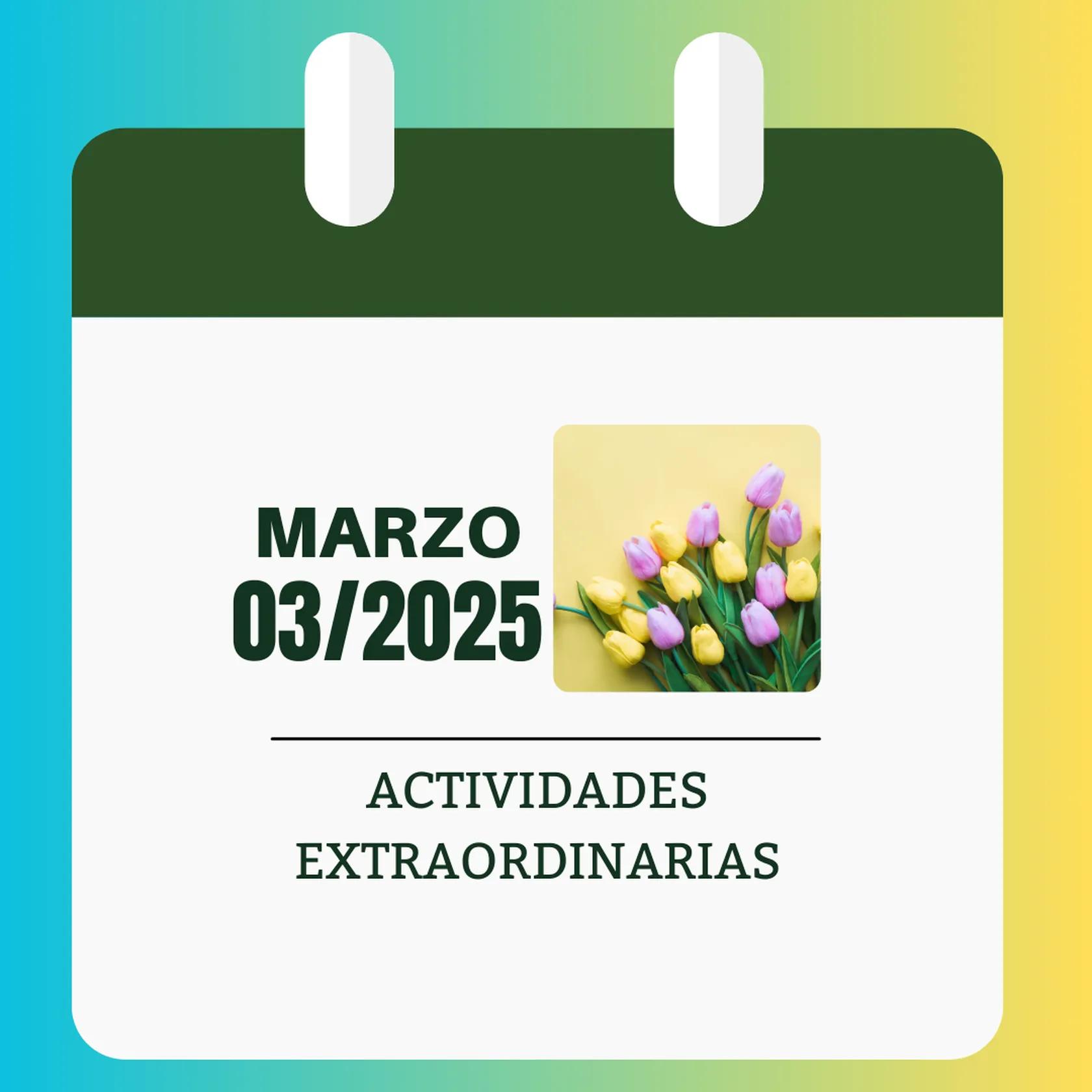 1c8e87a0-6b26-4a87-ae91-8fac1aa2ce03.png