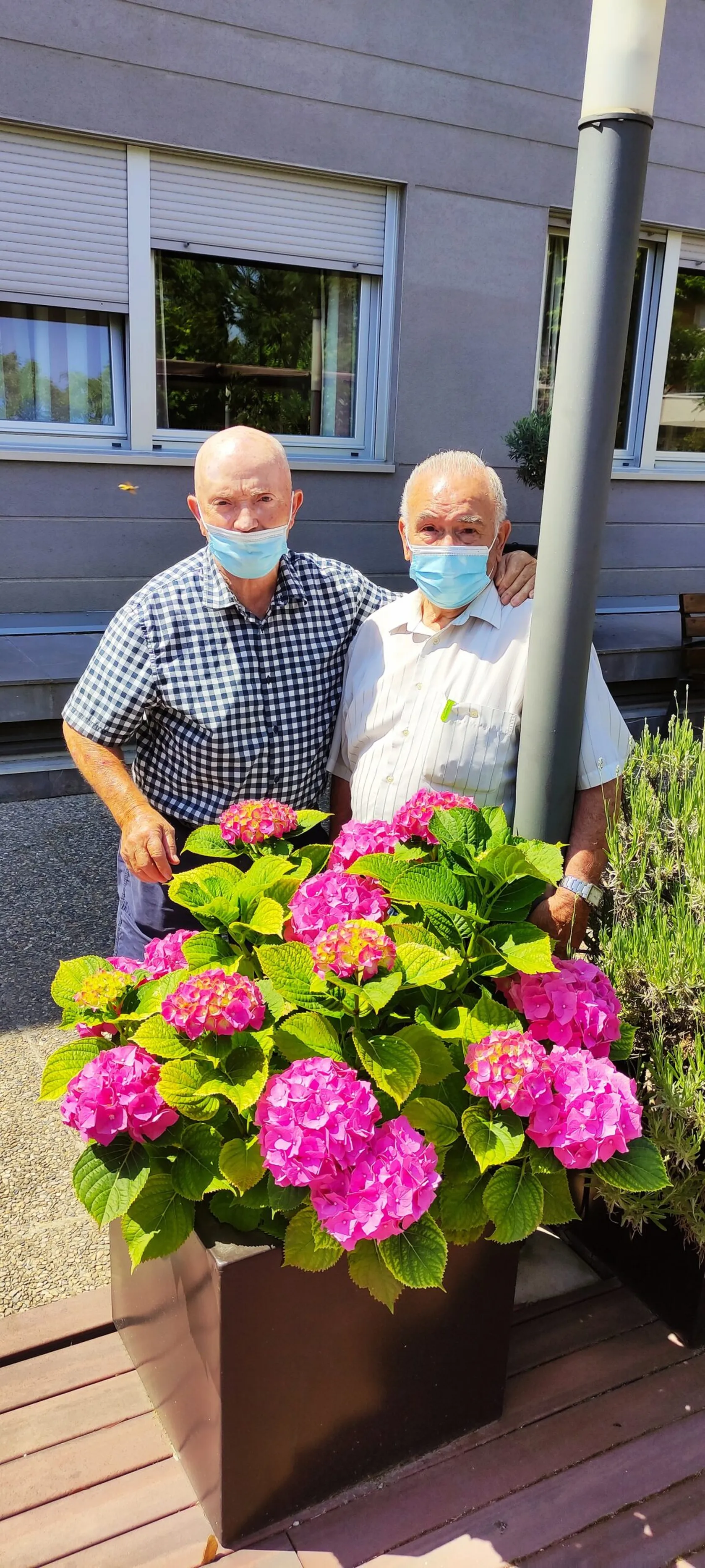 hortensia-chicos-1-zalfonada-min-scaled.jpg