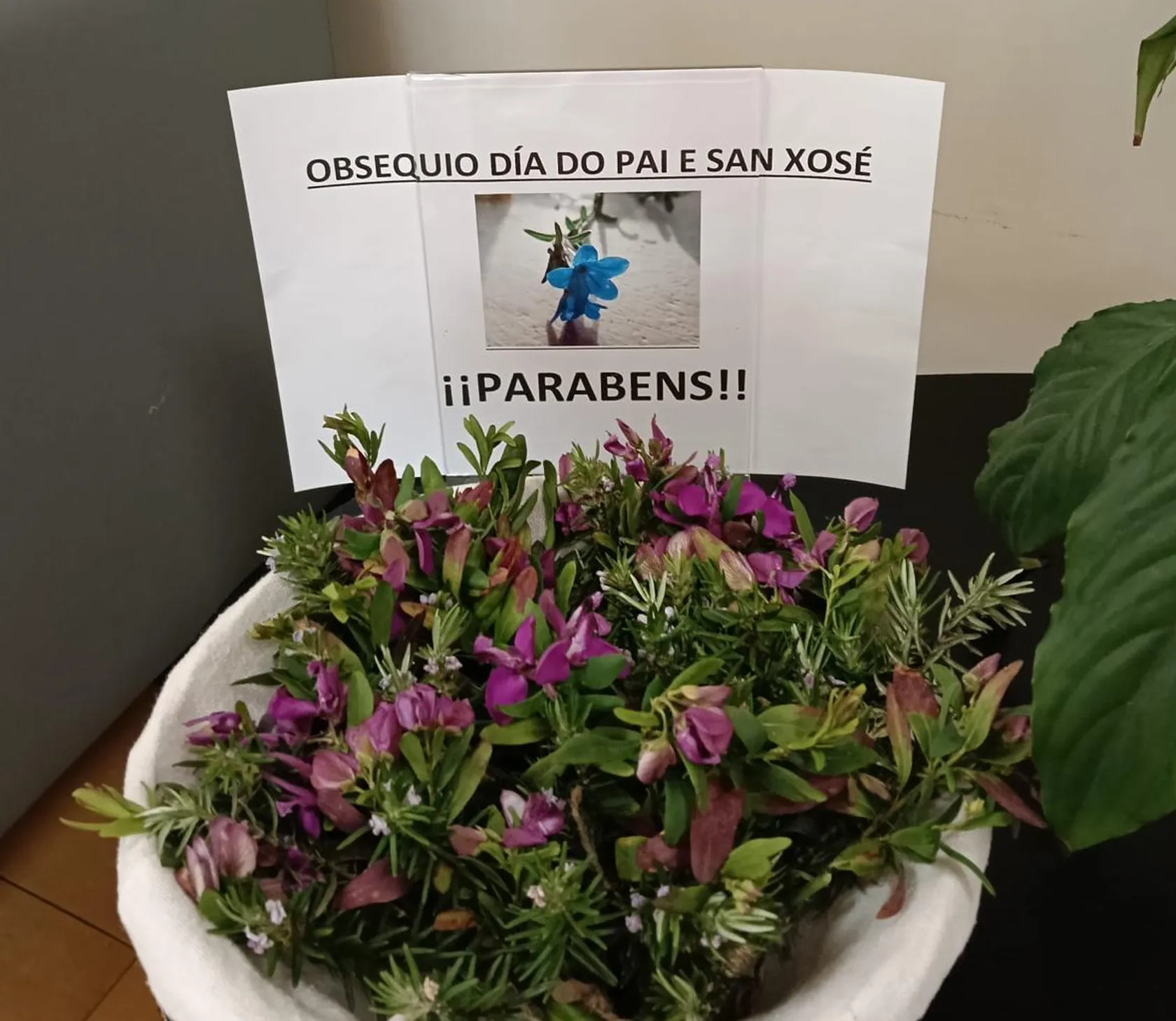 2f13032b-be82-4971-adae-6560764cb4c8.jpeg