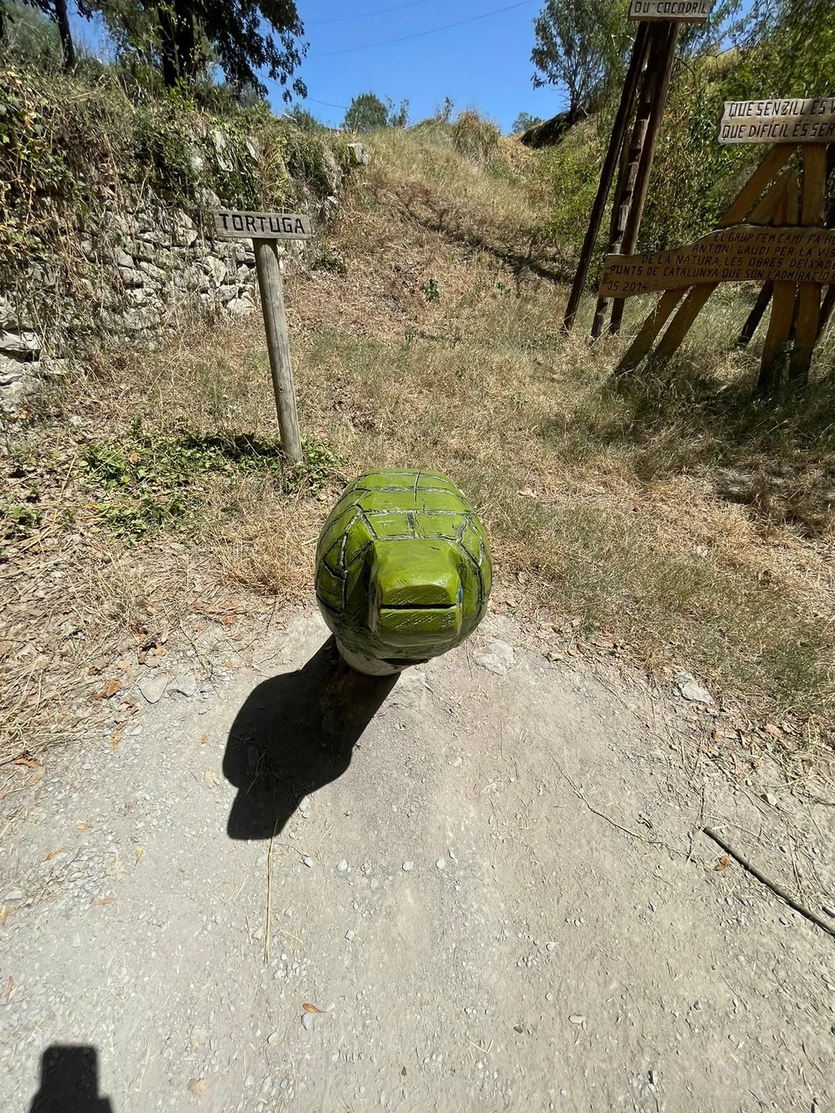 bc46aa90-5a50-43e8-8e0a-b65b479fd60e.jpg