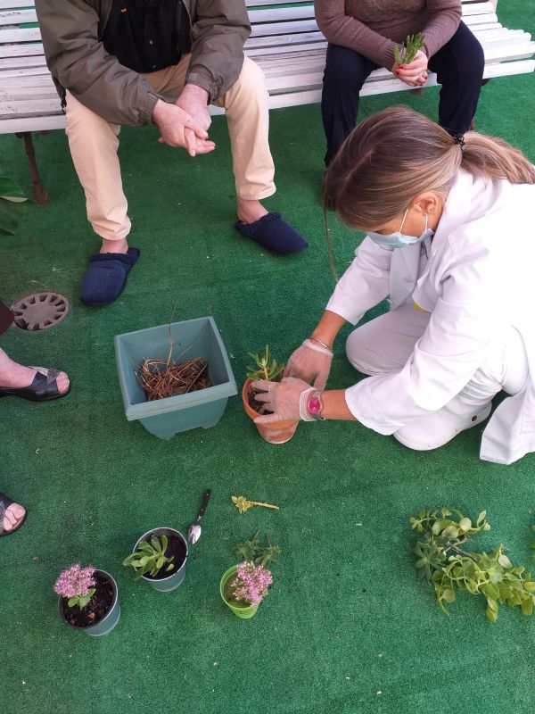 Jardín terapéutico