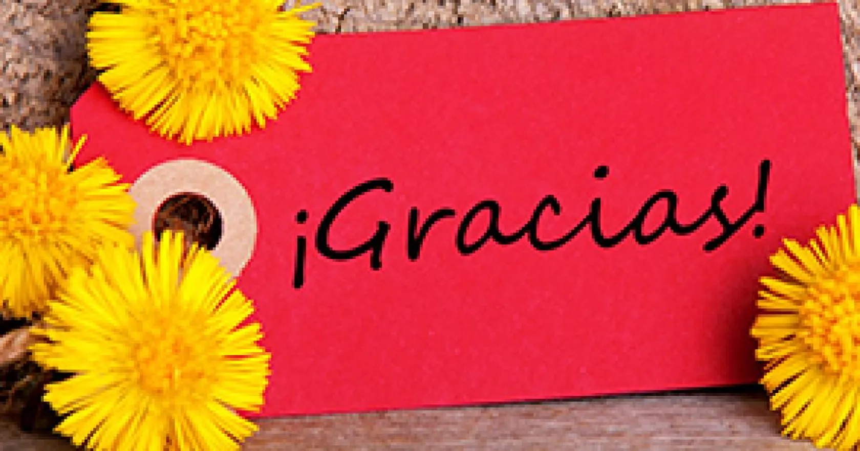 gracias-portada-min.jpg