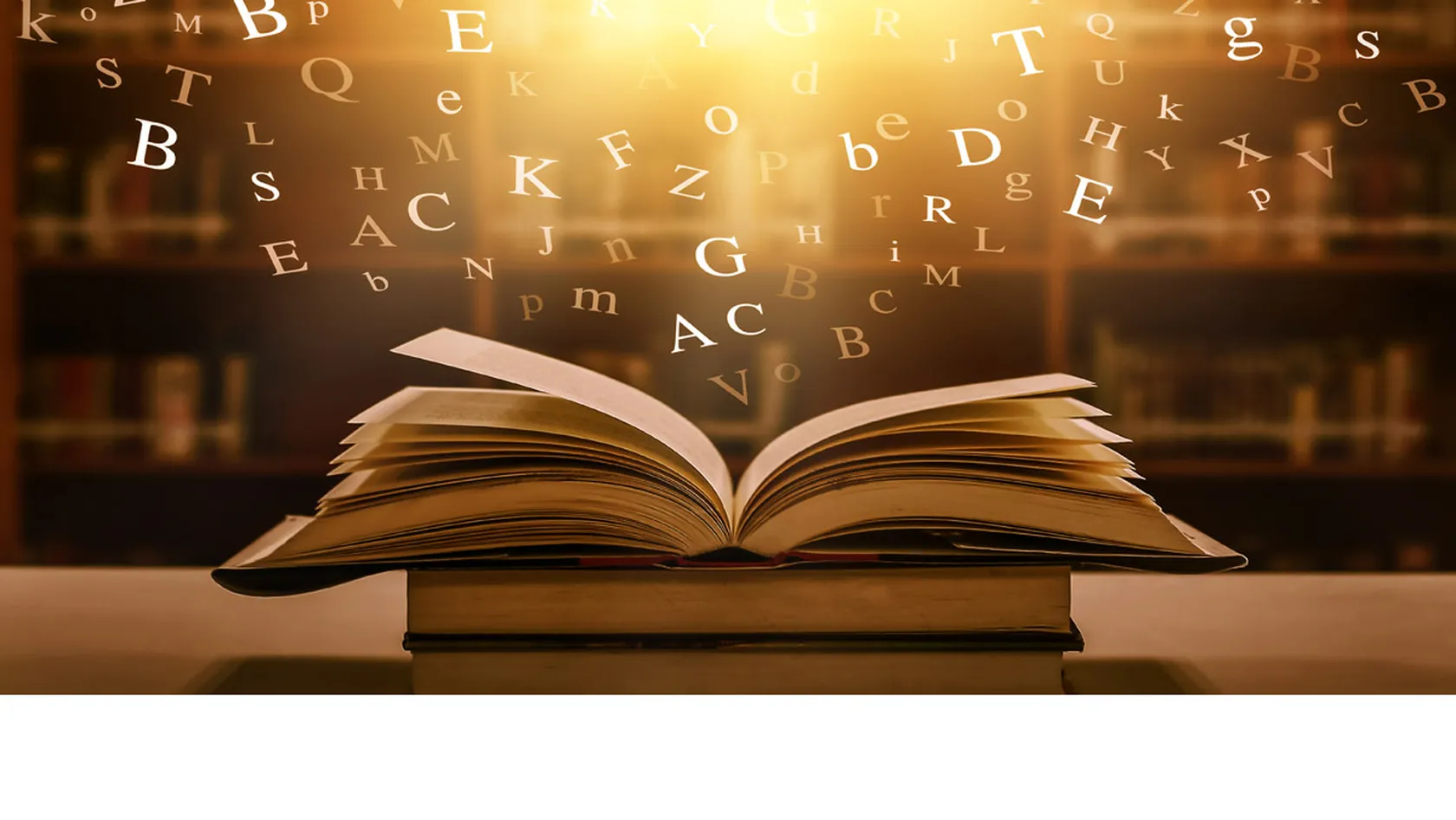 Libro-portada.jpg
