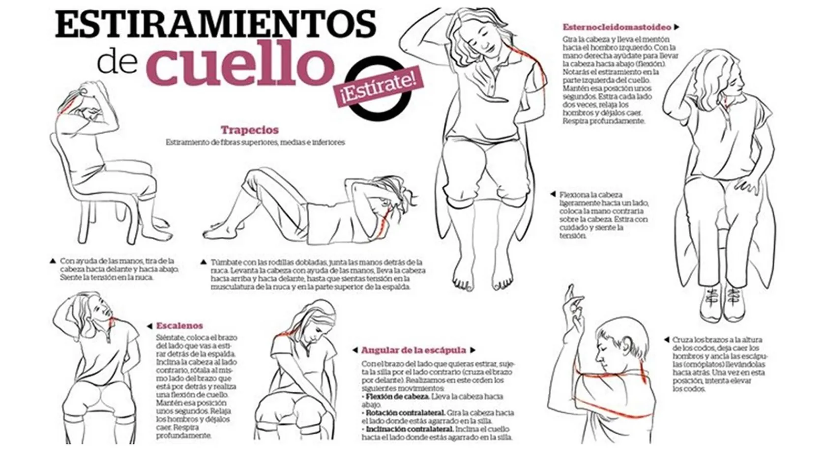 Presentación1.jpg