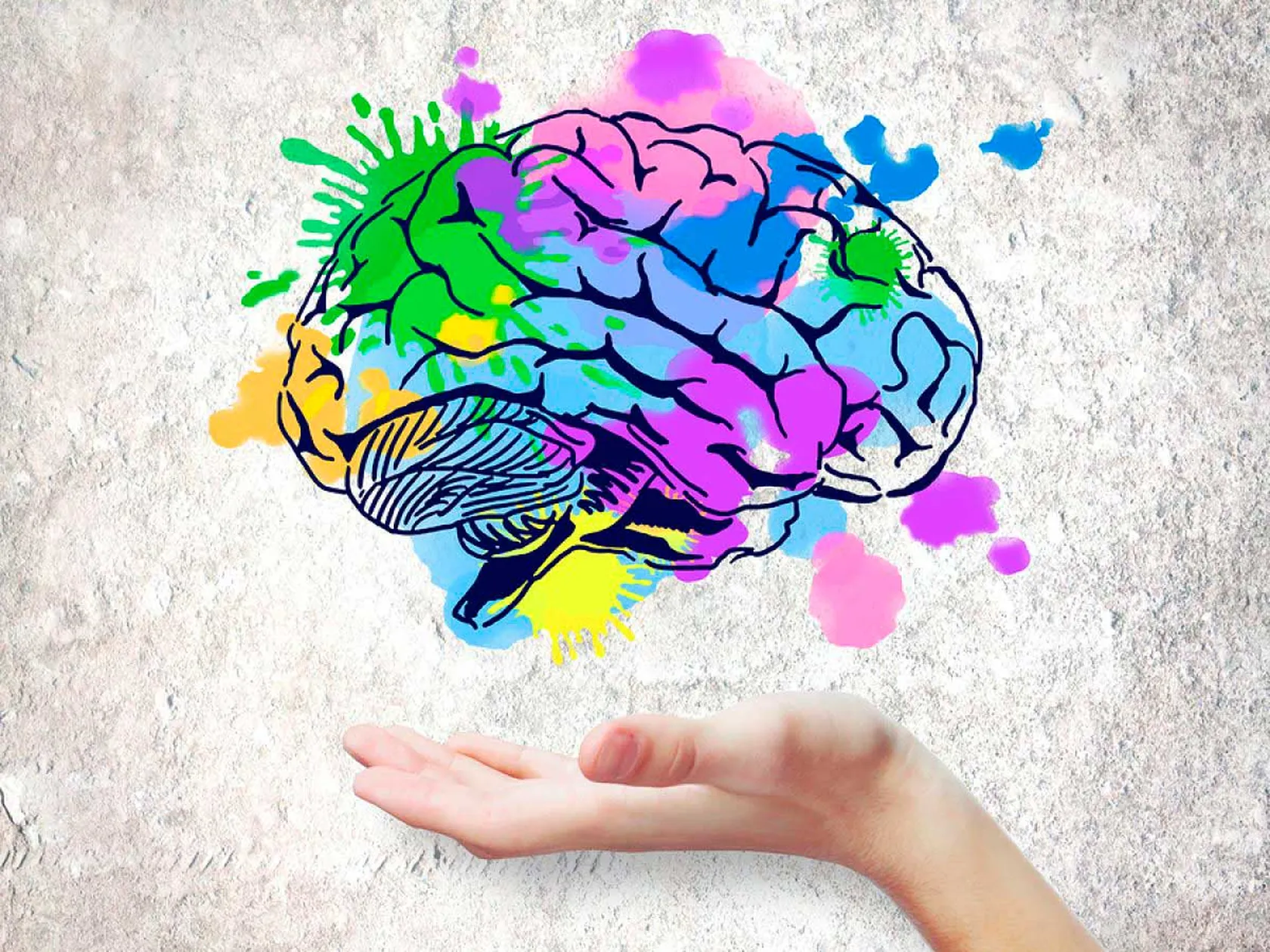 cerebro-colores.jpg