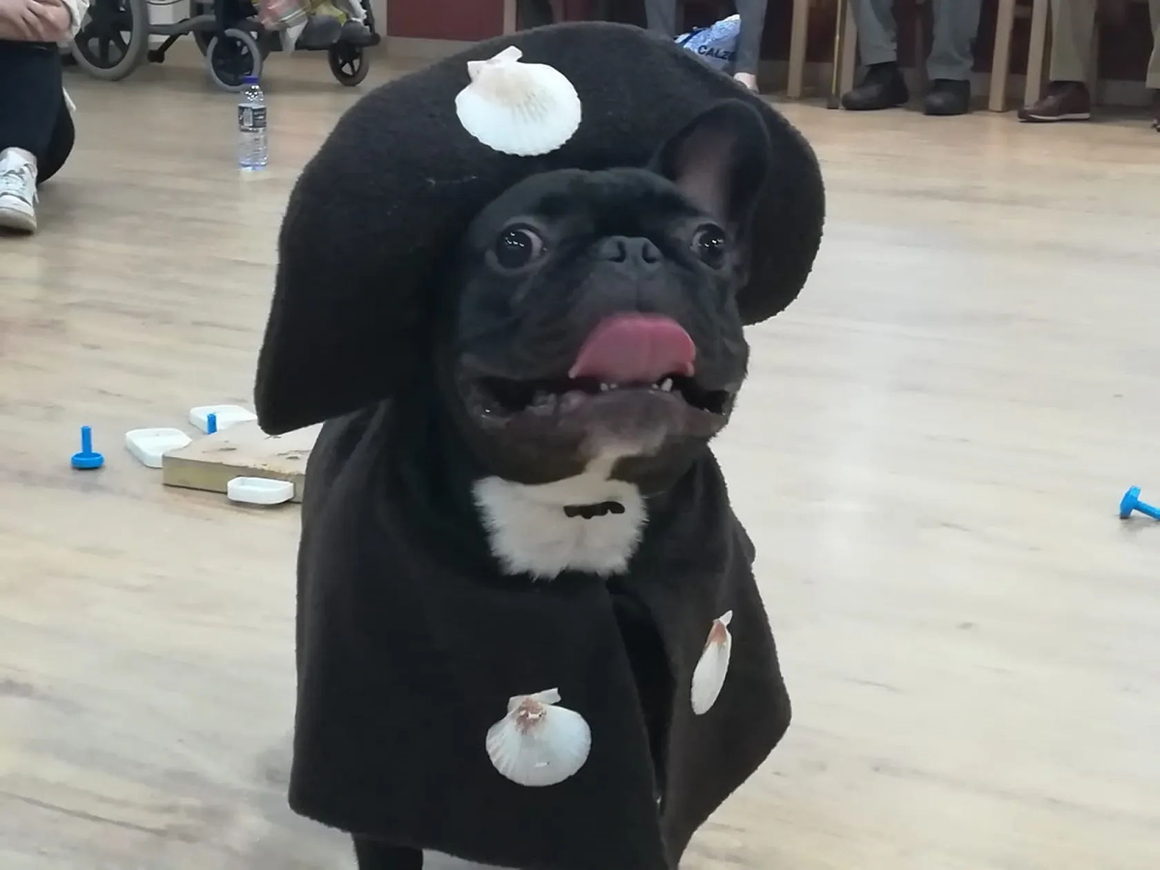 IMG-20191108-WA0000.jpg