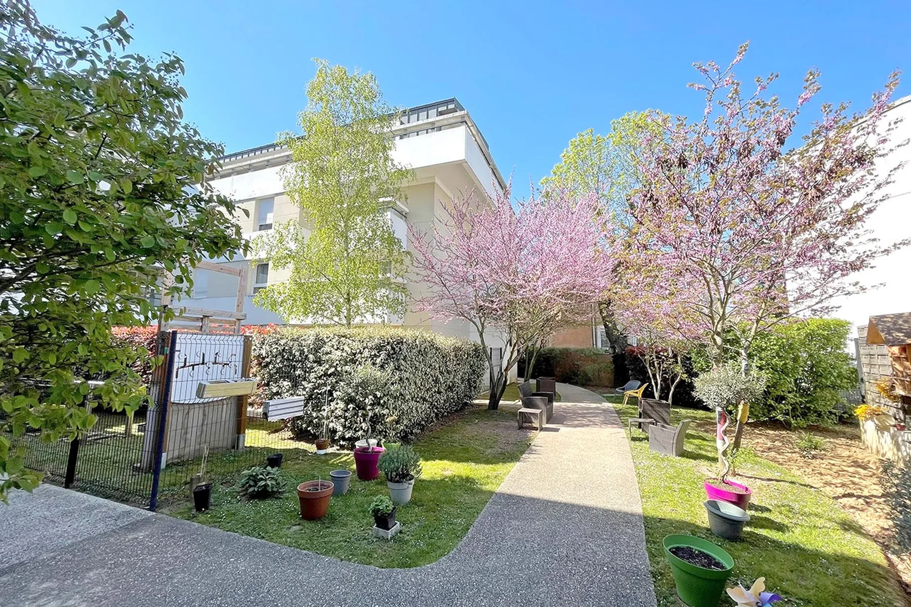 Passage maison retraite servres Médicis DomusVi, cerisiers bouleaux et fleurs nature