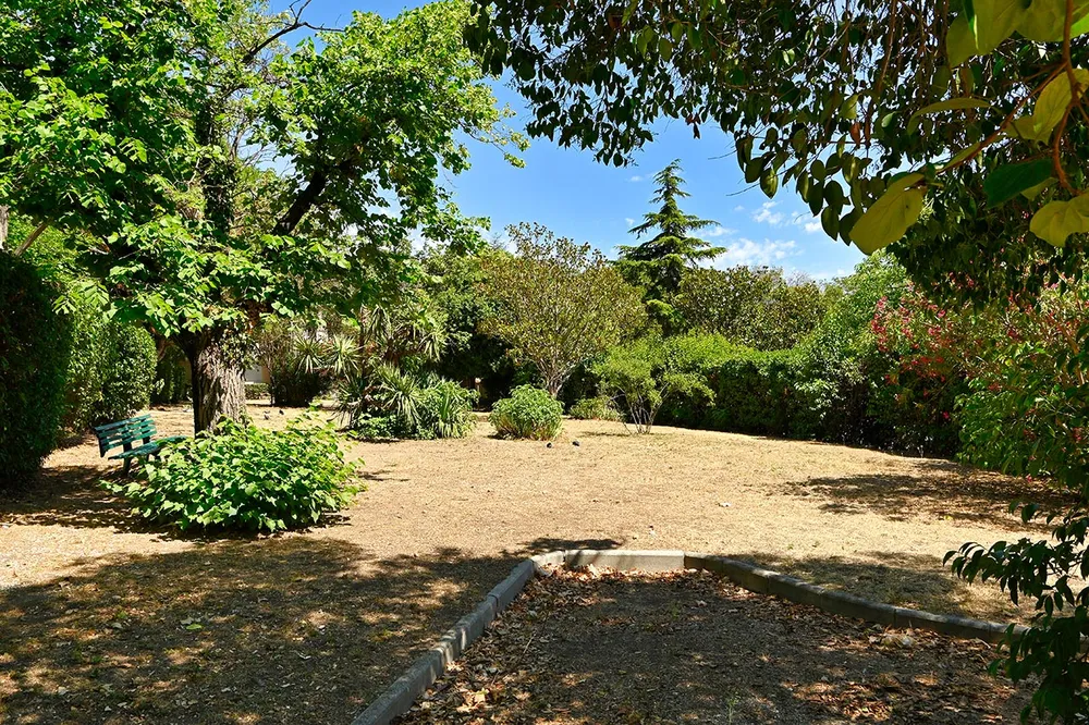 Jardin et forêt en maison de retraite à Marseille, Saint-Georges, arbres plantes et buissons