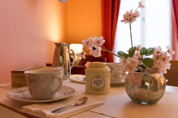 Tisane sérénité bio avec sakura et tasse de thé porcelaine ehpad zoom Résidence du Palais Marseille