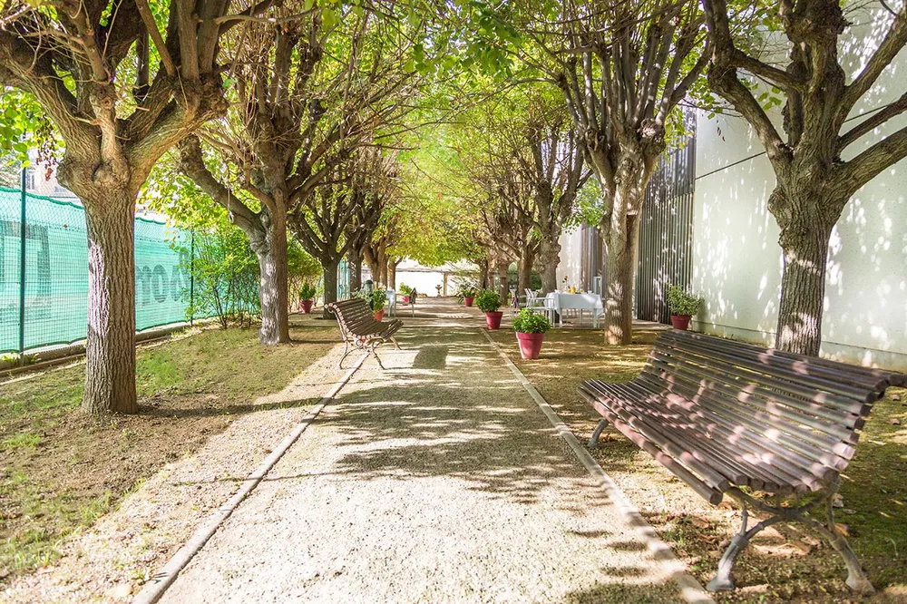 allée extérieur de la résidence Médicis à Asnières maison retraite domusvi, arbres nature et banc