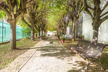 allée extérieur de la résidence Médicis à Asnières maison retraite domusvi, arbres nature et banc