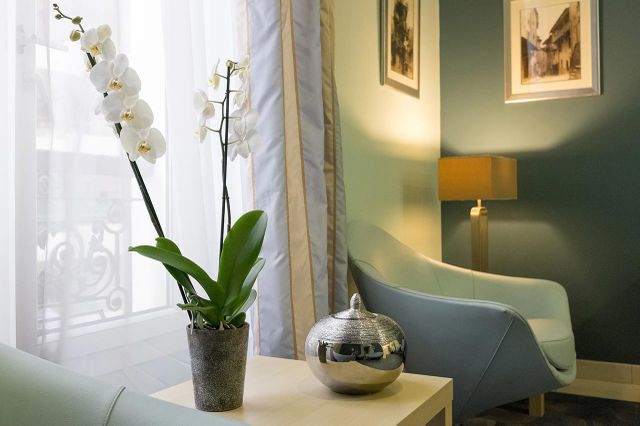Orchidée blanche dans une salle bleu zen avec tableau ehpad Résidence du Palais à Marseille