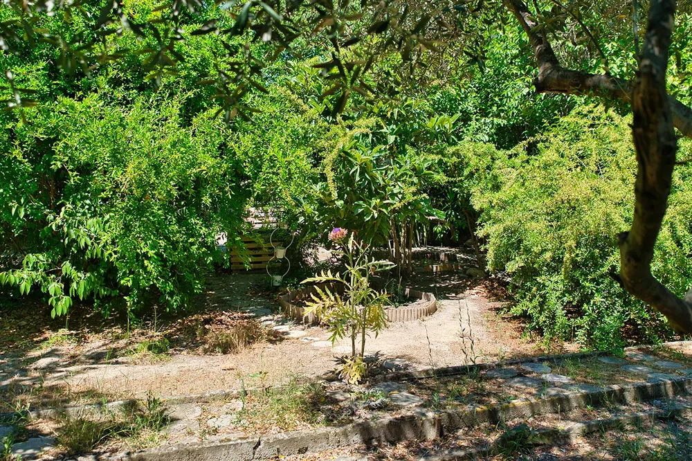 Jardin botannique en maison de retraite à Marseille, Saint-Georges, promenade anglaise