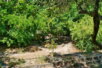 Jardin botannique en maison de retraite à Marseille, Saint-Georges, promenade anglaise