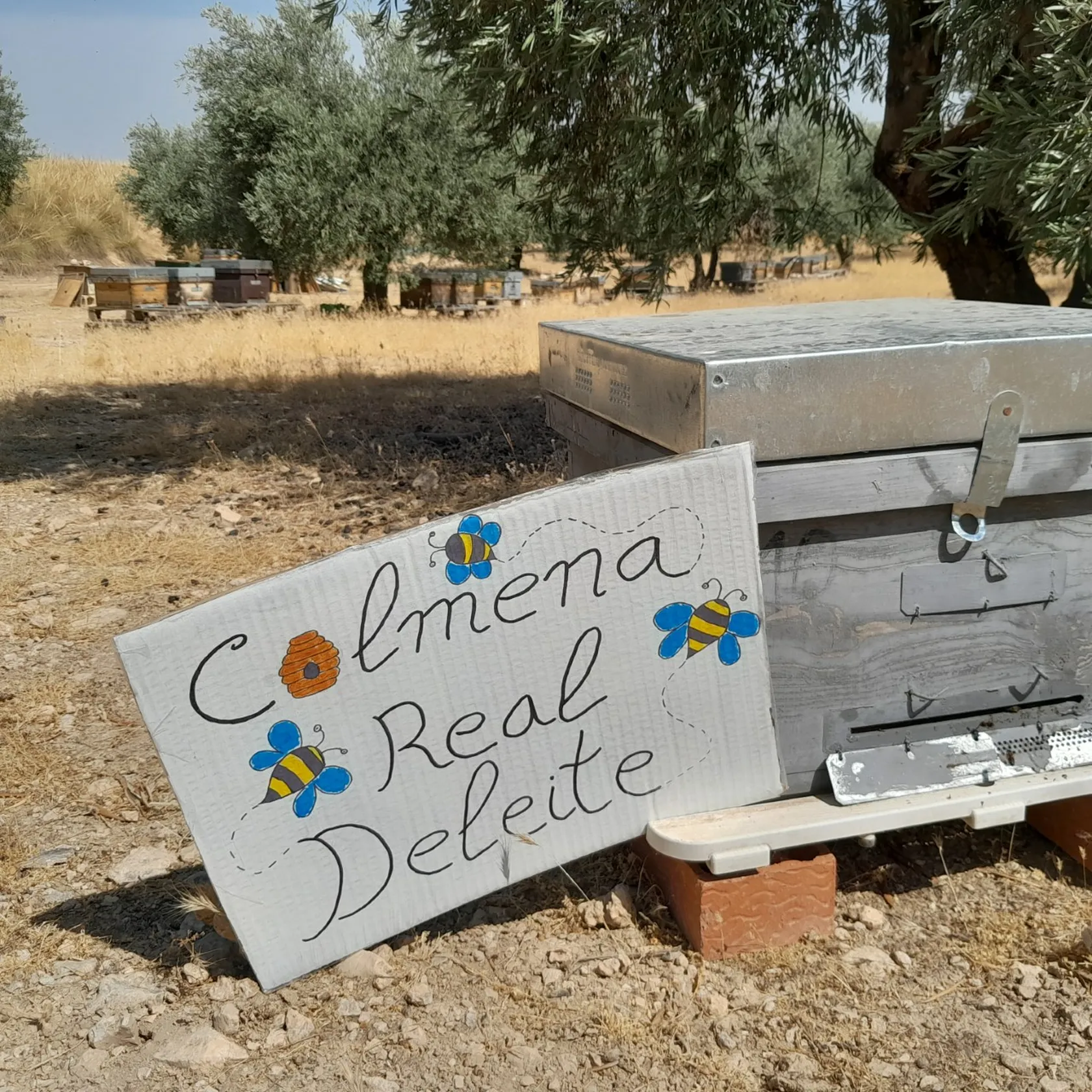 ColmenaRealDeleite.jpg