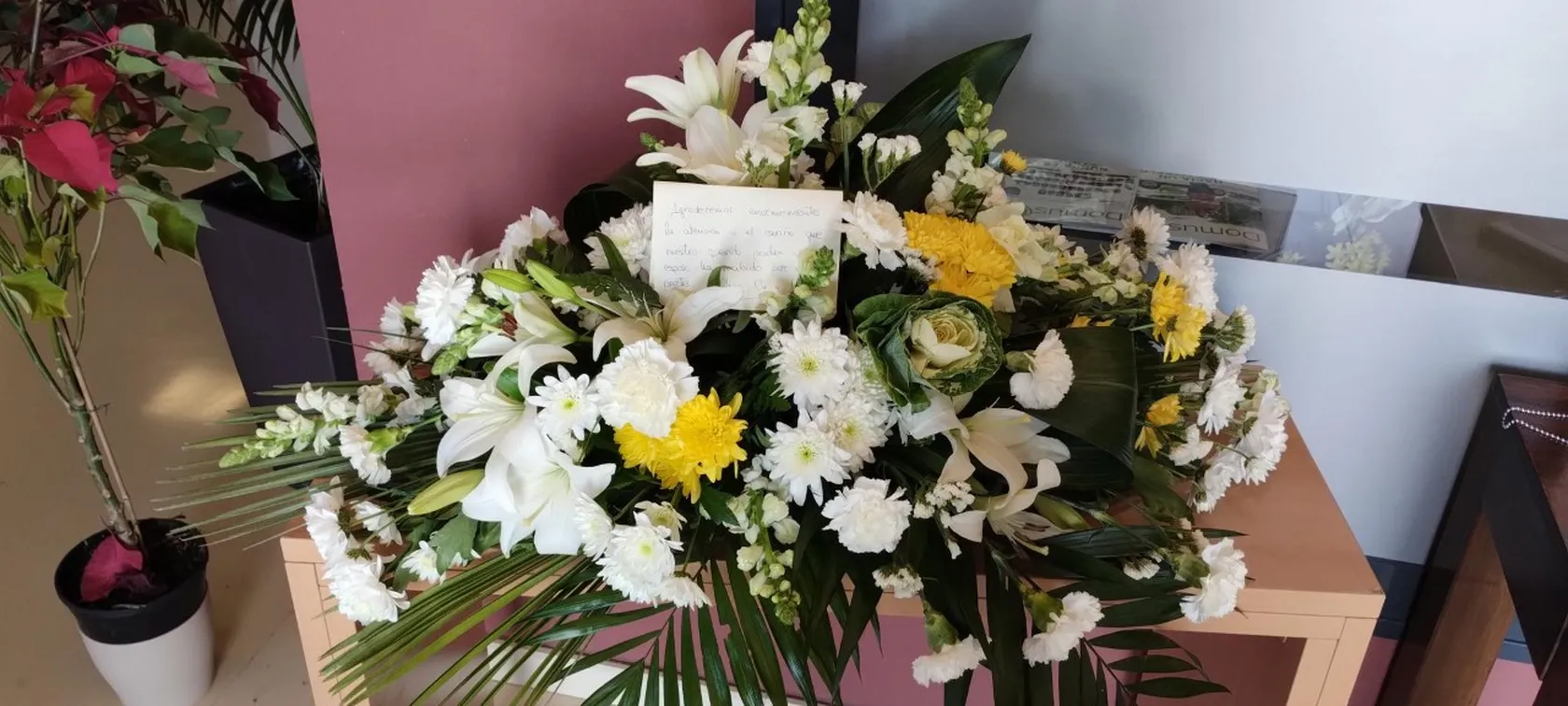 flores.jpg