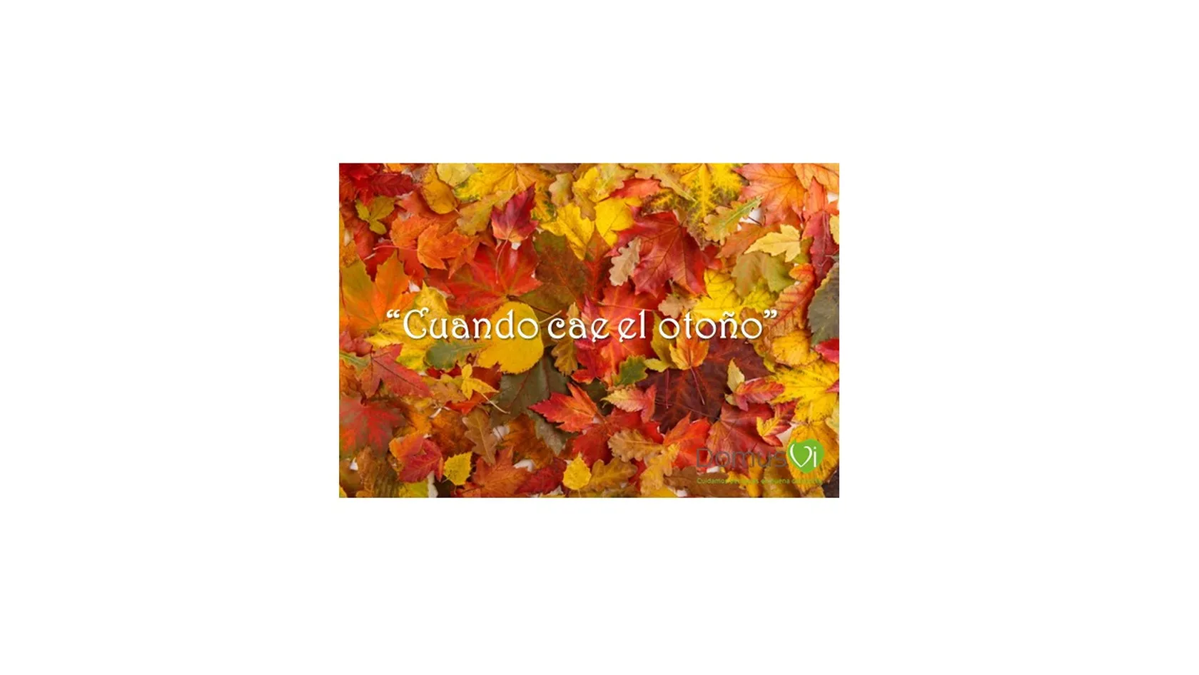 PORTADA-19.jpg