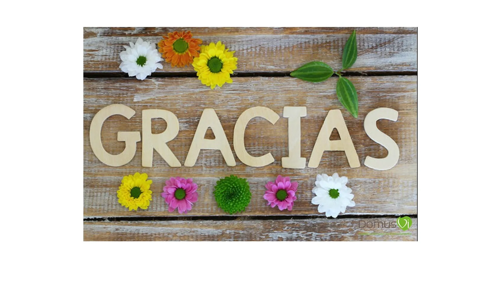 Gracias-logo-flores.jpg