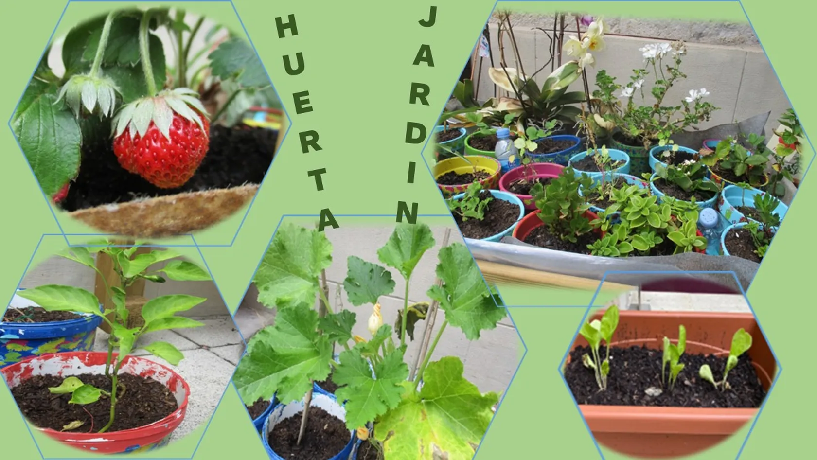 Agosto-Actividades-en-el-patio-JARDIN-HUERTA-.jpg