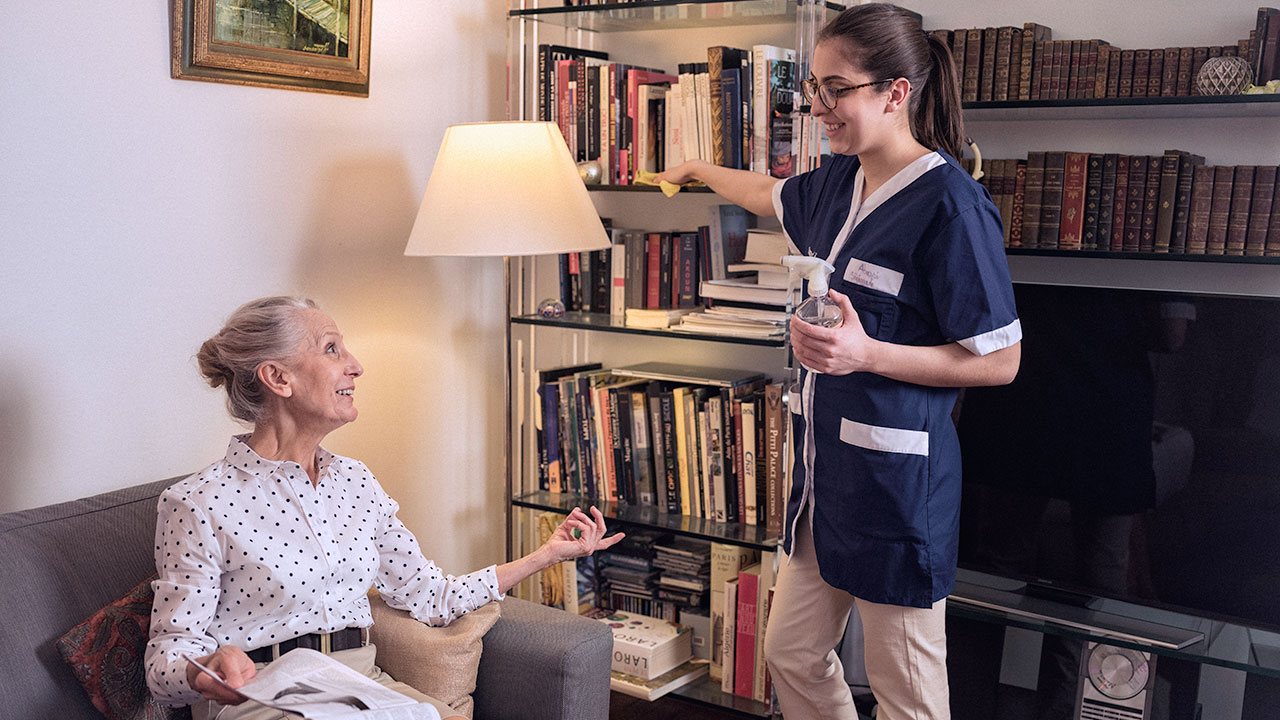 DEFINITION AIDE A DOMICILE visual data 5