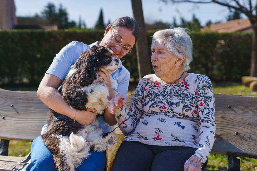 médiation animale en ehpad