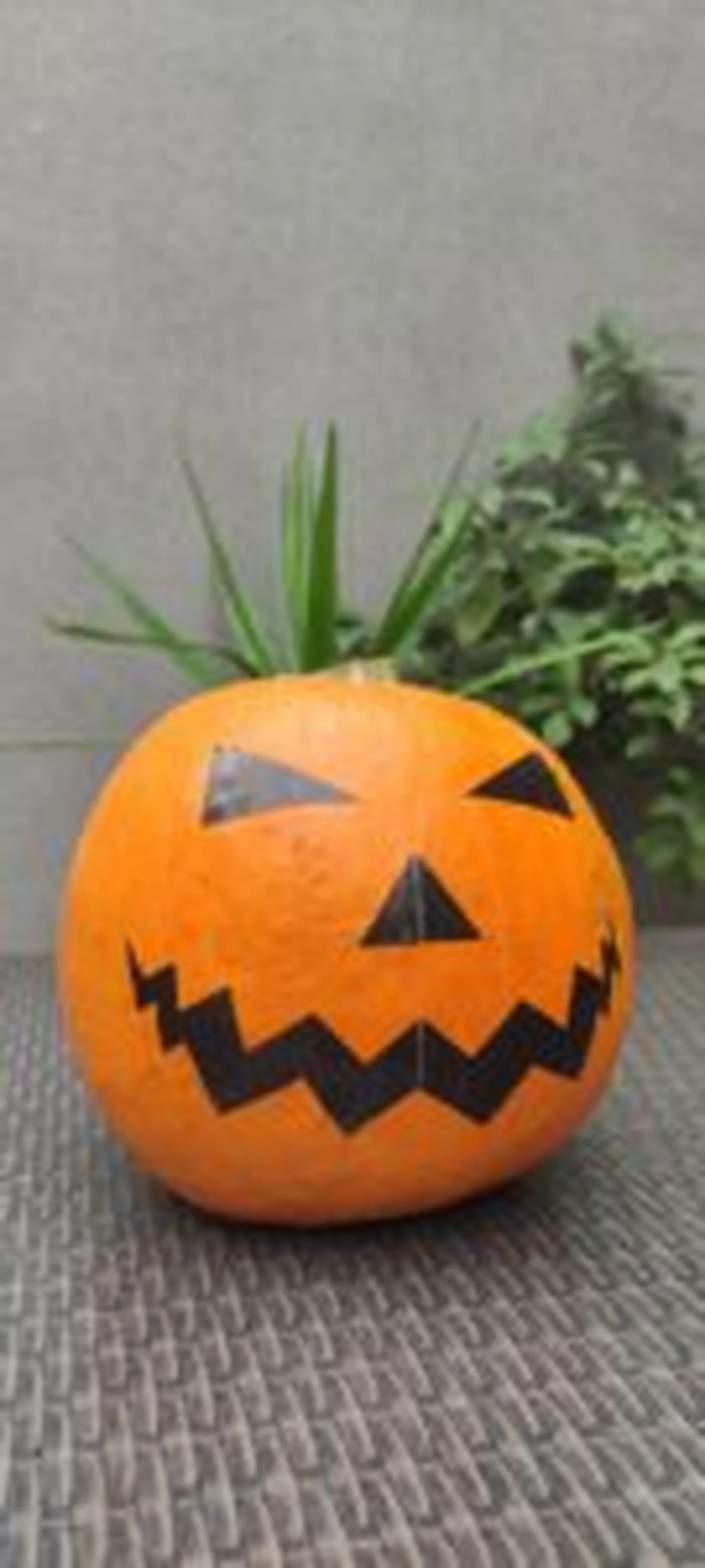 Calabaza-pegatina-min-135x300.jpg