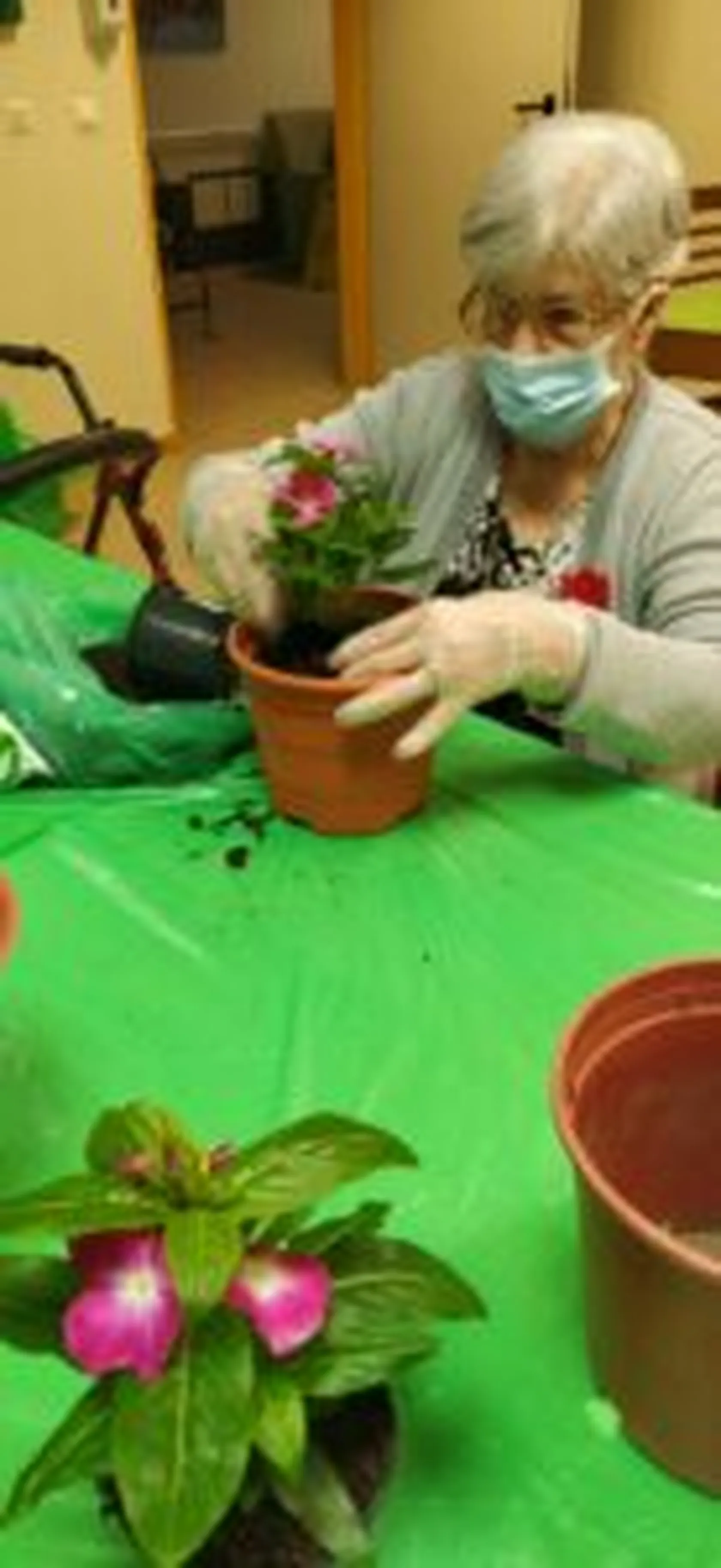 IMG_20210609_113856-138x300.jpg