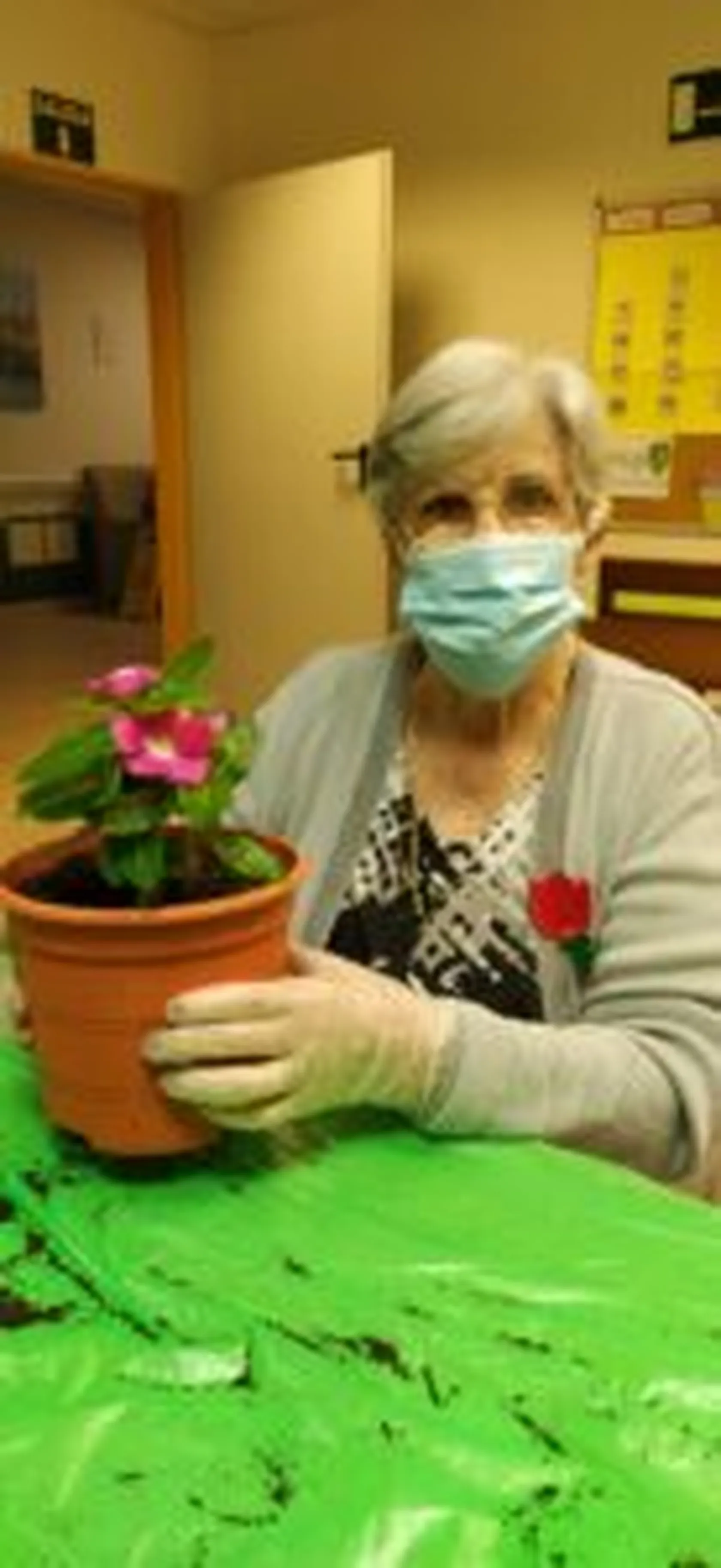 IMG_20210609_114207-138x300.jpg