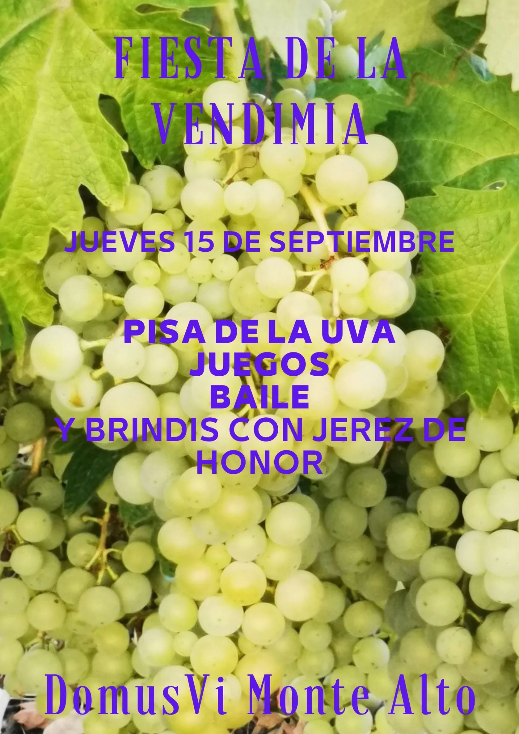 fiesta-de-la-vendimia-1.jpg