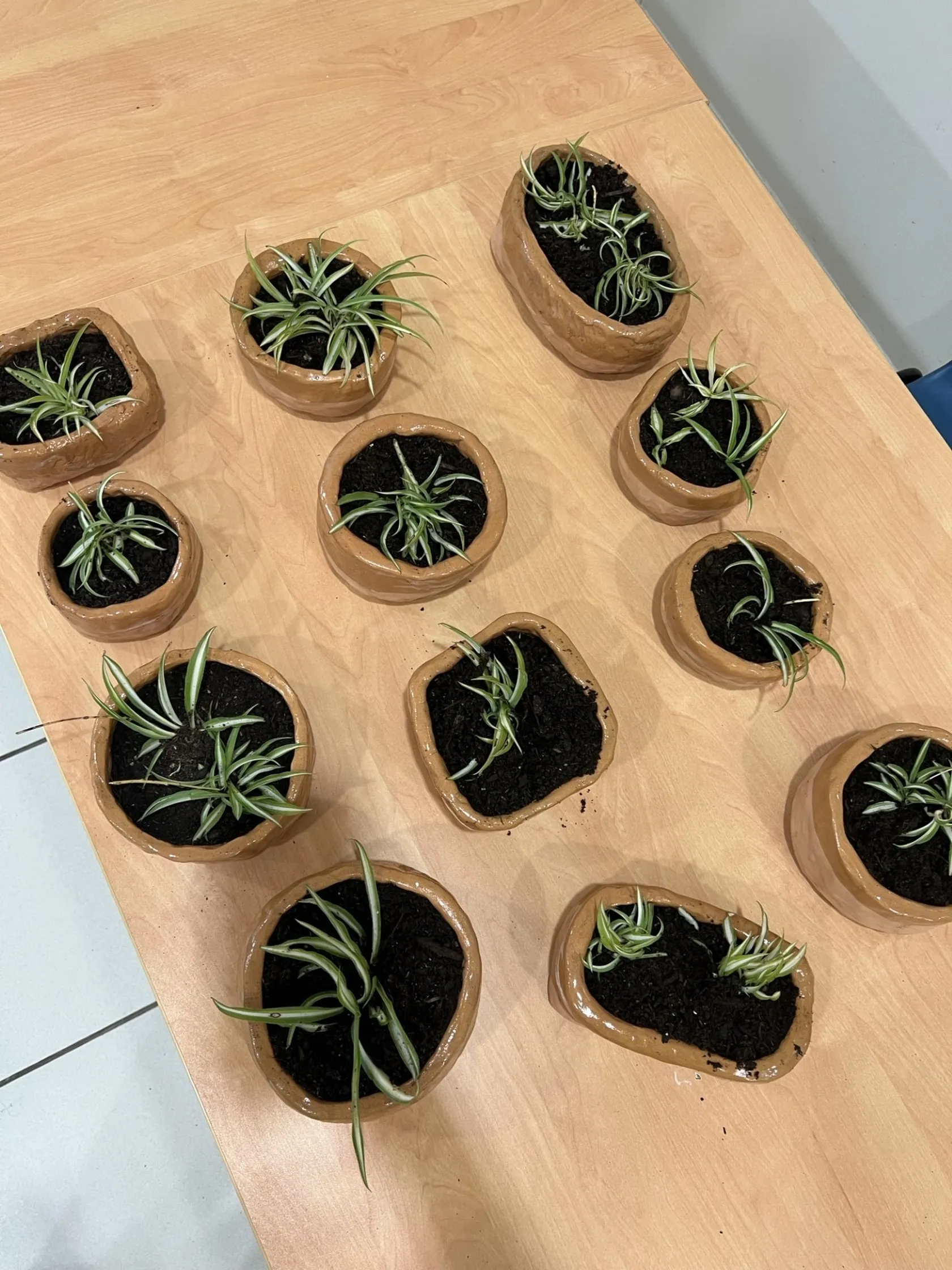 b5487e58-b64d-4bba-90d6-a3e69e57207e.jpg