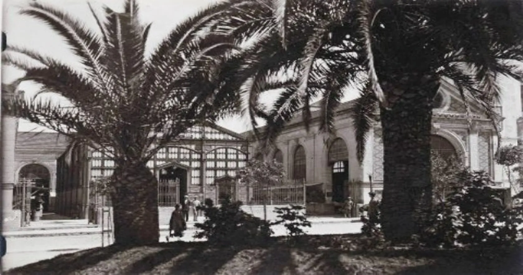 Imagen1.jpg