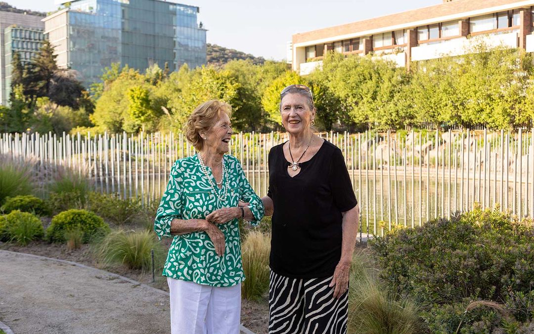 Laguna-de-Acalis-Jardines-de-Valle-Alegre-en-Las-Condes-V2