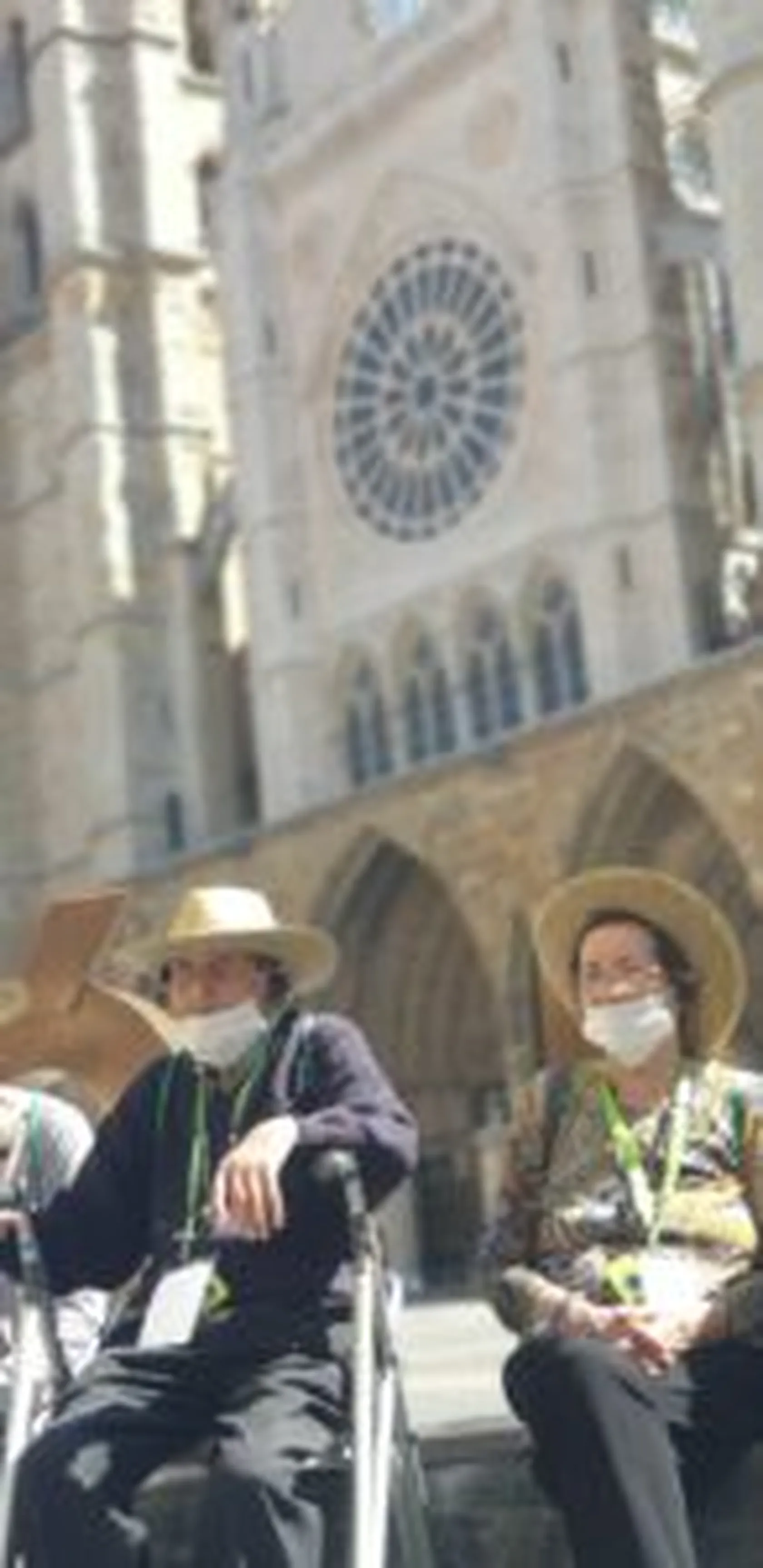 Catedral-Free-Tour-DomusVi-Nuestra-Senora-del-Camino2-146x300.jpg