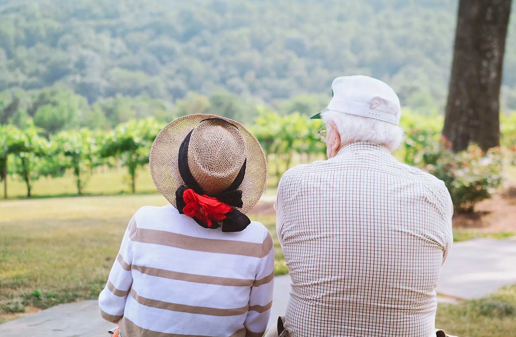 abuelos-y-abuelas.jpg