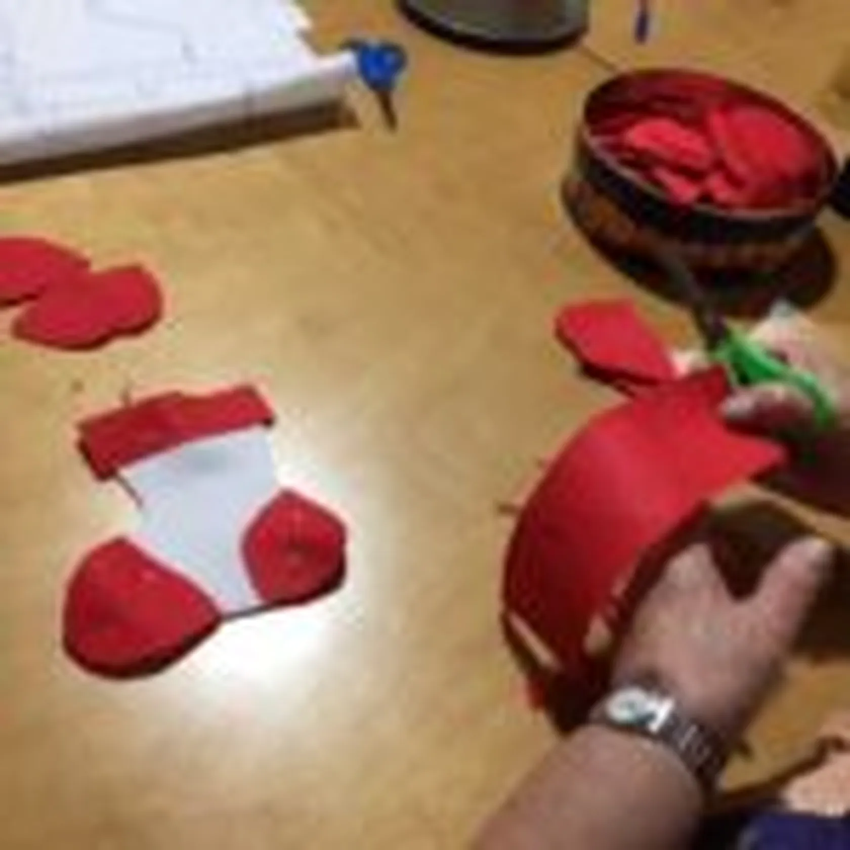 thumbnail_IMG_6183-150x150.jpg
