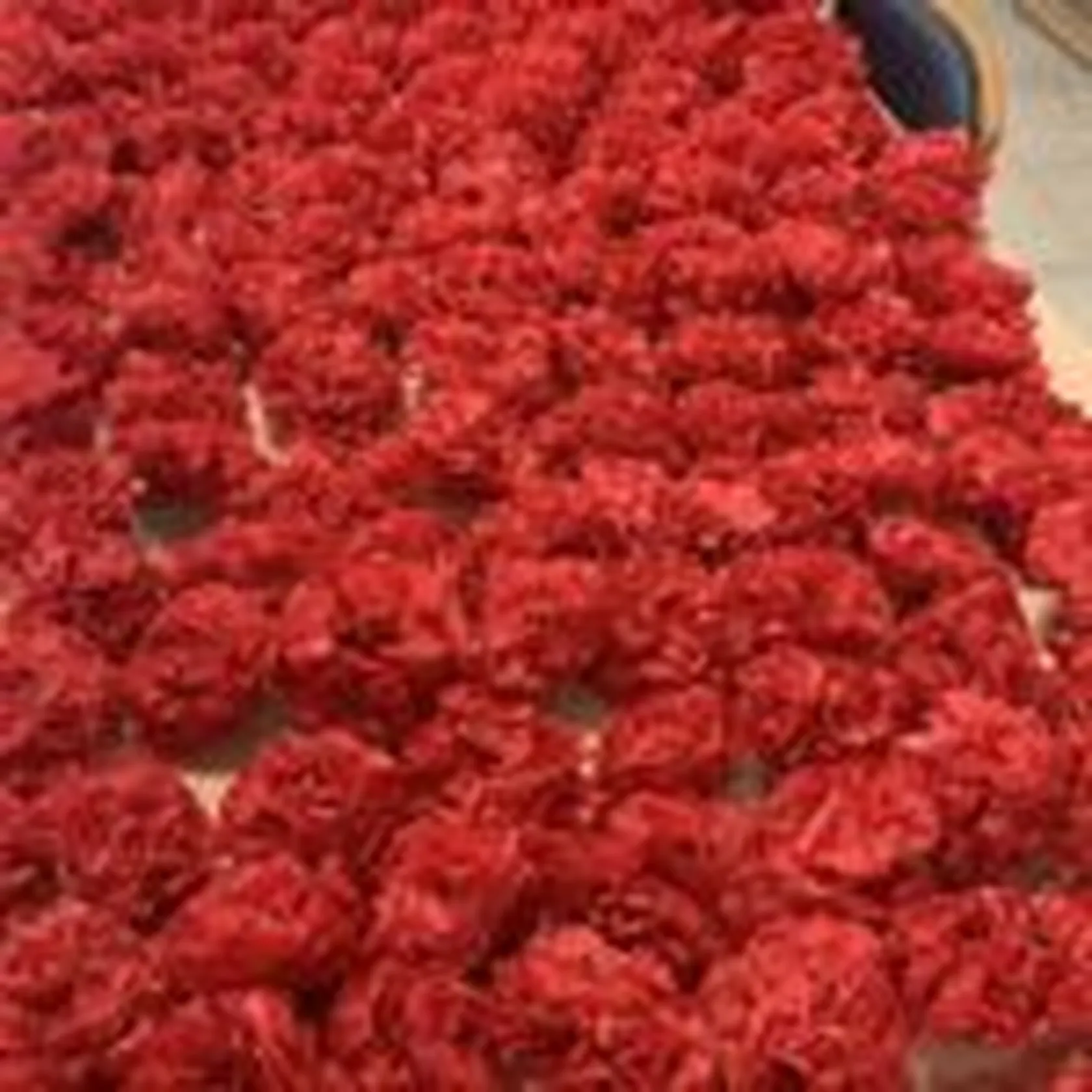 DYND9606-150x150.jpg