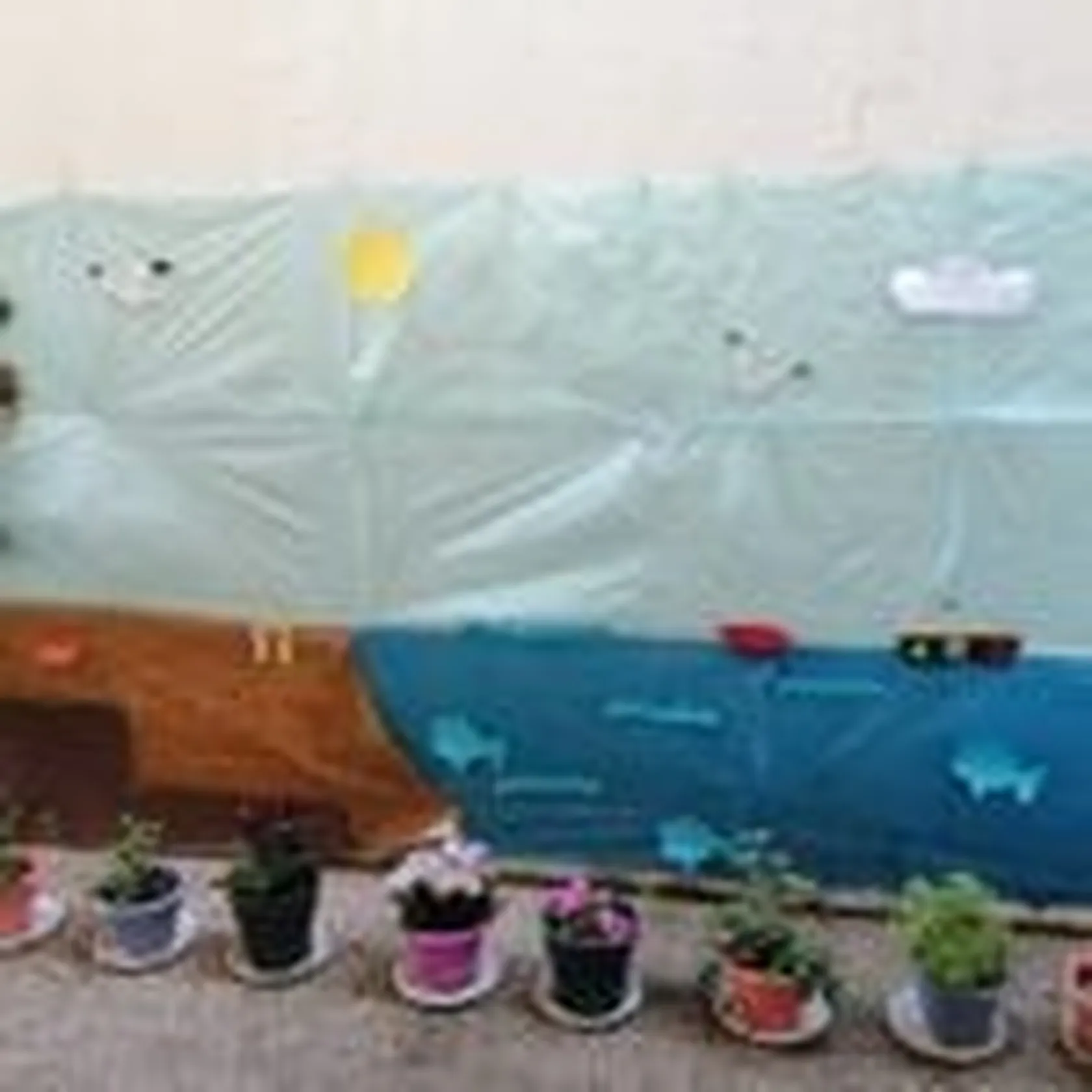 IMG_20200812_121316-150x150.jpg
