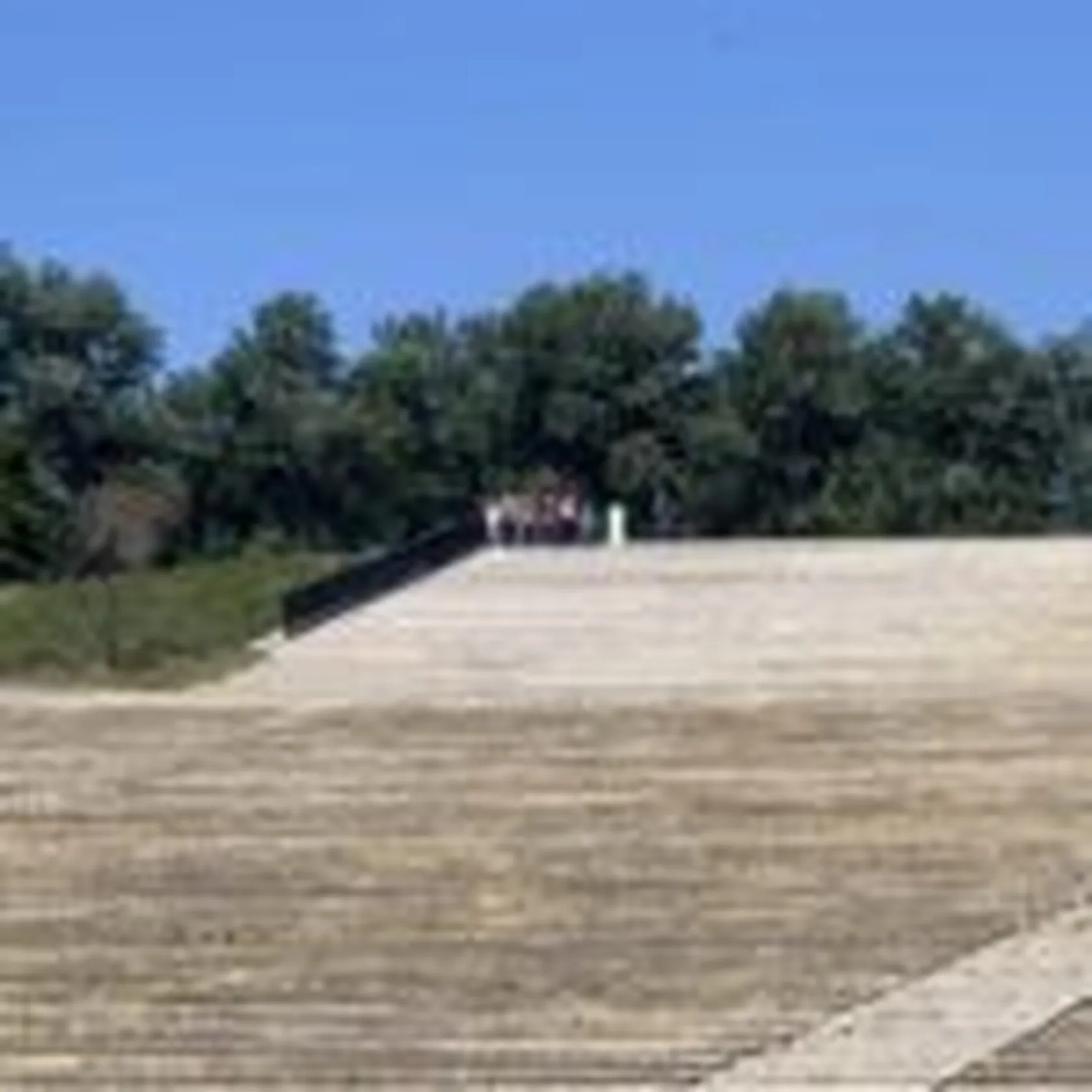 IMG_0362-min-150x150.jpg