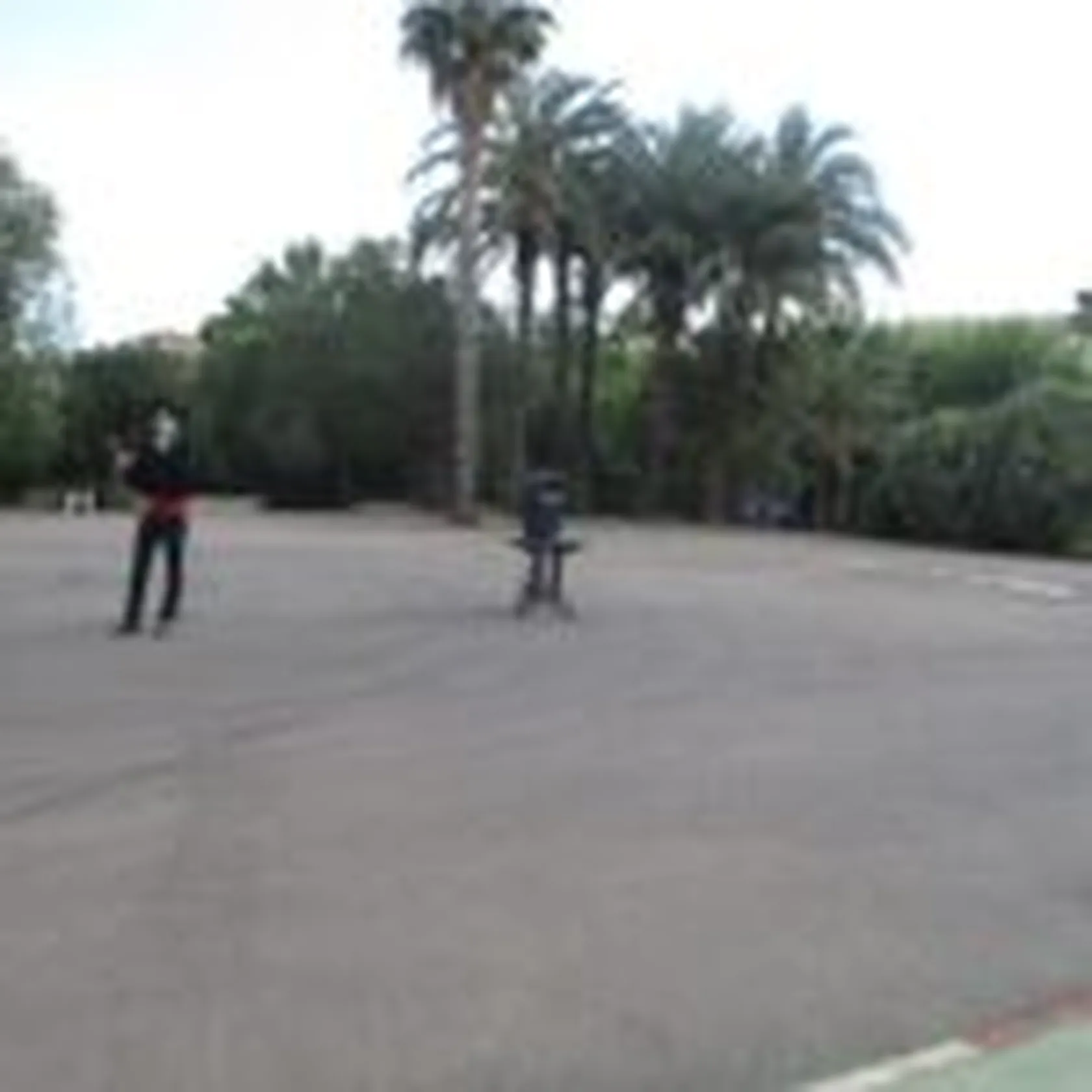 jardin-01-150x150.jpg