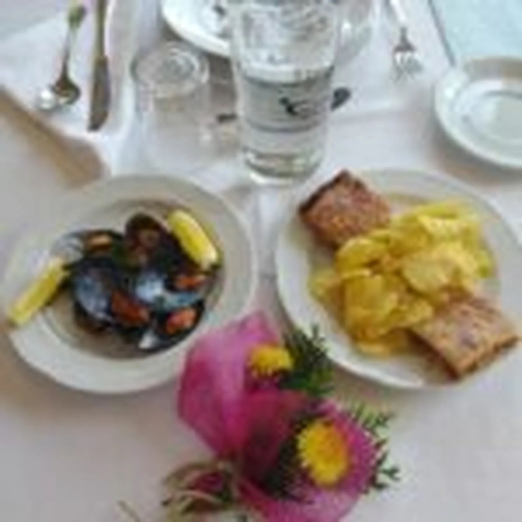 DomusViLugoPrimavera1-150x150.jpg